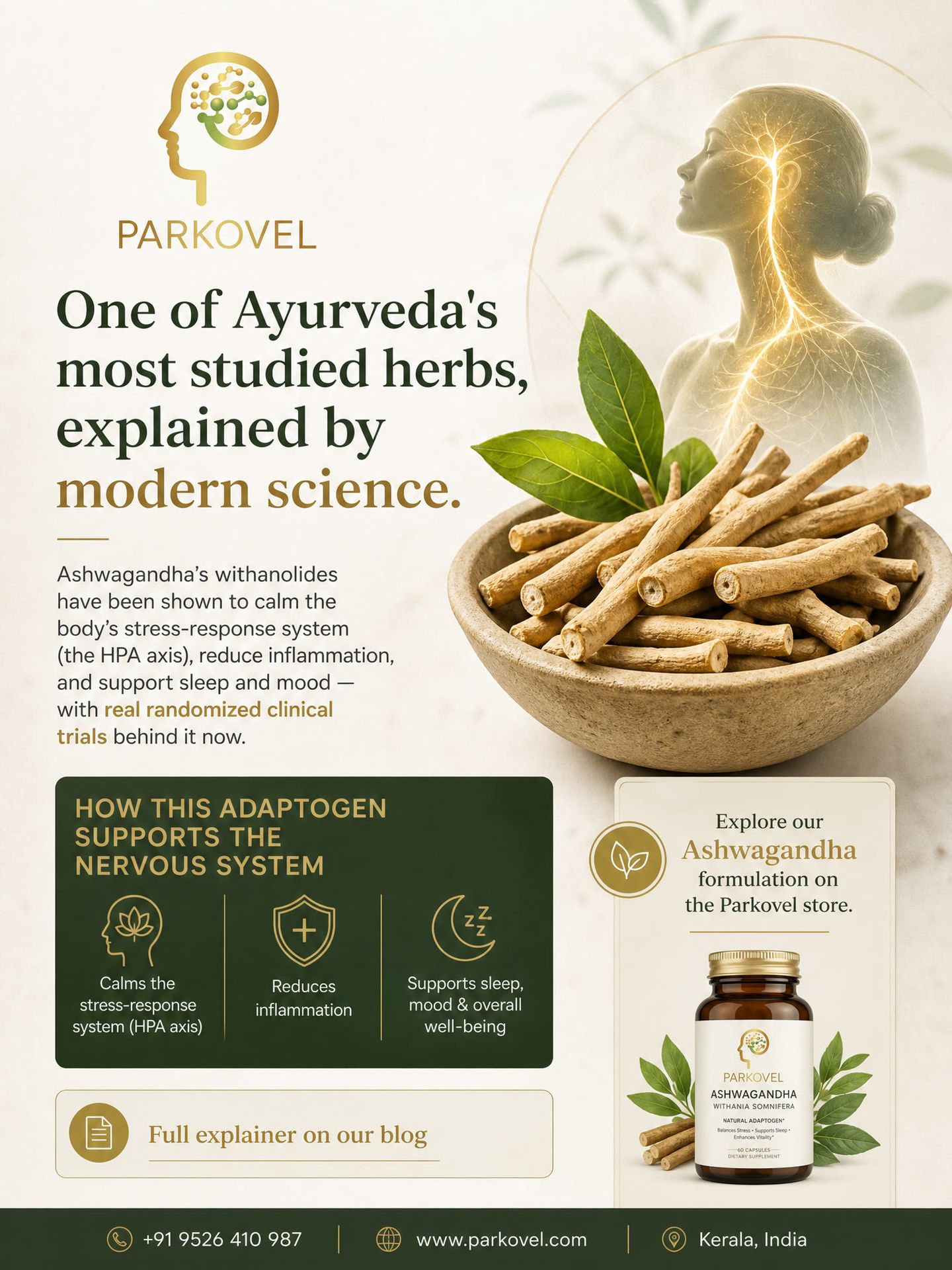 Ashwagandha and the Nervous System: The Science Behind an Ayurvedic Adaptogen